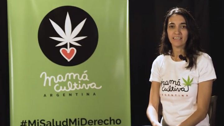 Valeria Salech: "Con Mamá Cultiva tuvimos un rol clave en la legitimación del autocultivo"