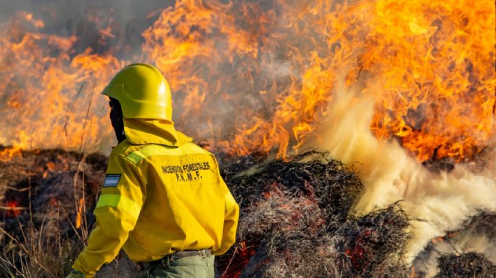 Atención: cuatro provincias registraron incendios forestales