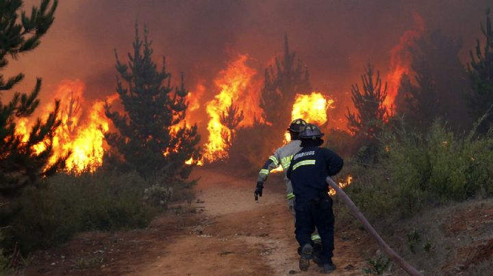 Incendios forestales: una a una, cuáles son las provincias afectadas