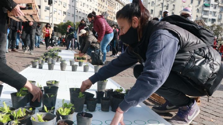 Huertas agroecológicas: el proyecto que impulsa la soberanía alimentaria