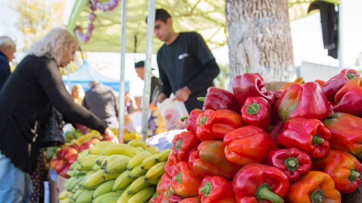 Agricultura lanza “Mercado en tu Barrio” en la ciudad de Gálvez