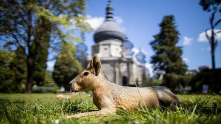 Vacaciones de invierno: El Ecoparque porteño invita a un paseo interactivo, educativo y ambiental