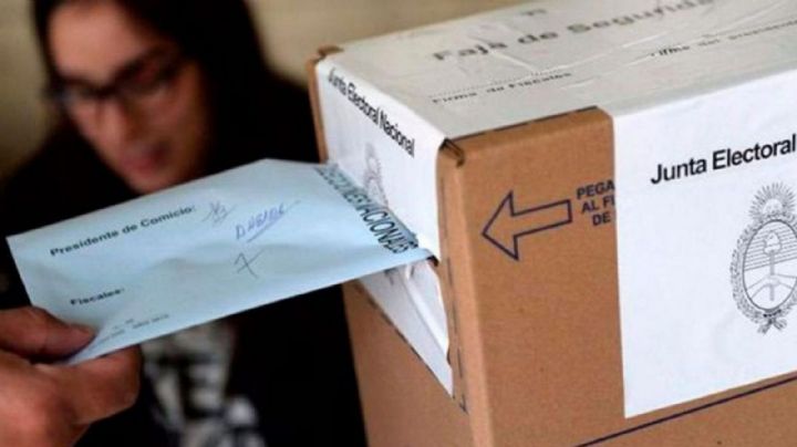 PASO: Qué marcan las primeras encuestas en la provincia de Buenos Aires