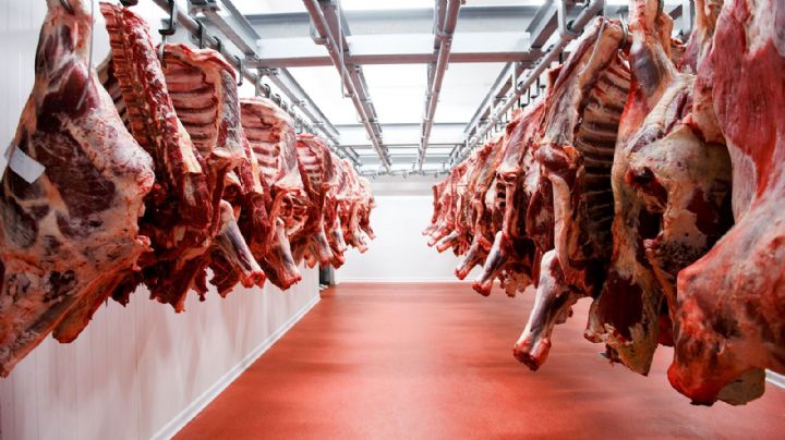 El Gobierno nacional liberó la exportación de carne con destino a Israel