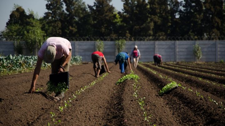 La Biblioteca Saavedra encabeza una charla sobre pequeños productores de alimentos