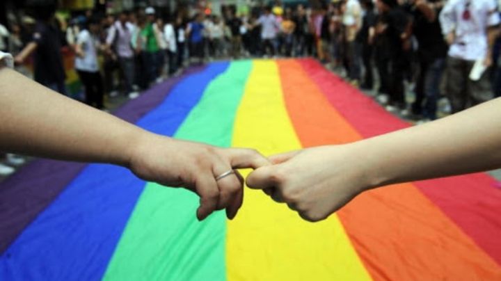 Adopción y matrimonio igualitario: menos de un 5 % del colectivo LGBT+ se postula