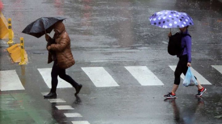 Tormenta de Santa Rosa: El Servicio Metorológico Nacional emitió alerta amarilla