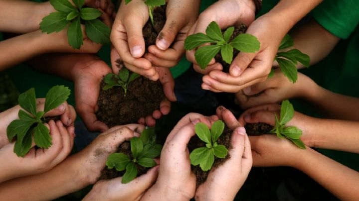 Día de la Conciencia Ambiental: la importancia de que los gobiernos se involucren