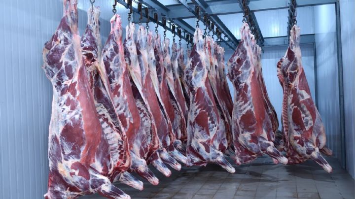 El Gobierno flexibilizó las exportaciones de carne a China