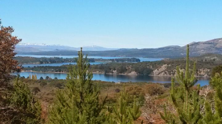 Vacaciones en el Corazón del Bosque