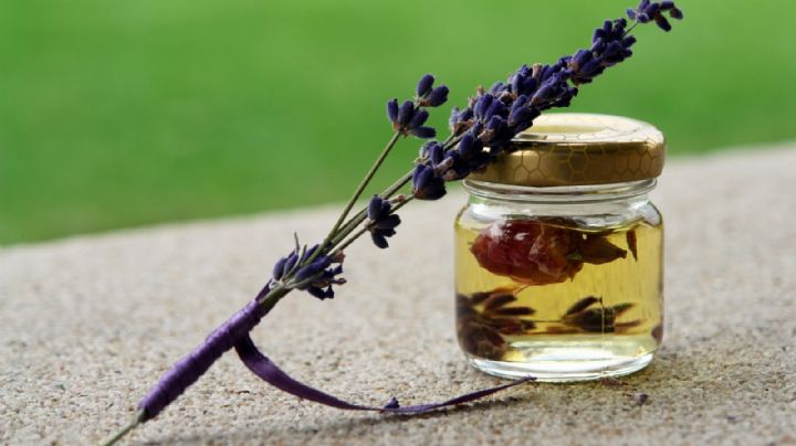 Plantas medicinales: haz tu propio aceite esencial de lavanda