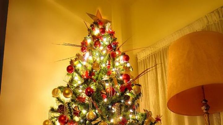 Feng Shui: descubre donde ubicar el árbol de navidad para que atraiga salud, trabajo y amor