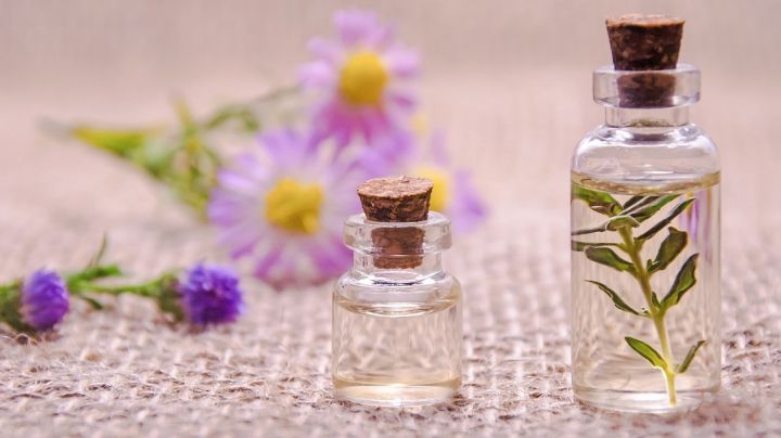 Aromaterapia: descubre en qué consiste esta práctica curativa y que plantas utilizada
