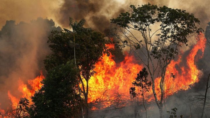Incendios forestales: peligra el humedal tropical más grande del mundo