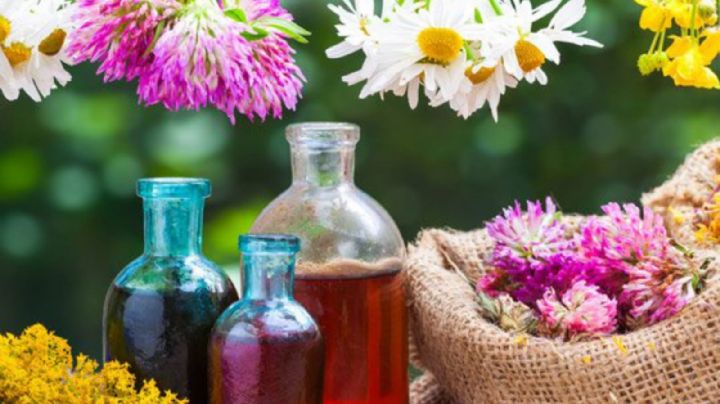 Flores de Bach: la medicina homeopática avanza con fuerza