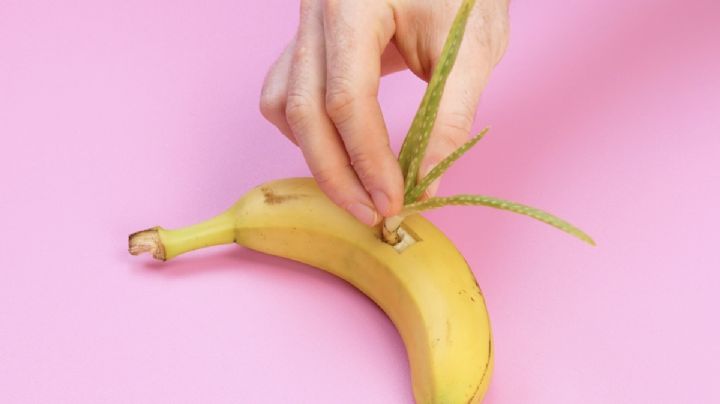 Descubrí porqué deberías colocar una planta de aloe vera en una banana