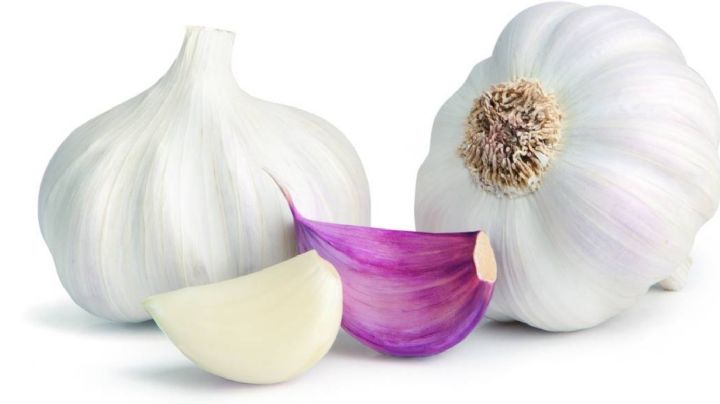 Ajo o Allium sativum: La ciencia busca métodos para moderar sabor y aroma de este superalimento