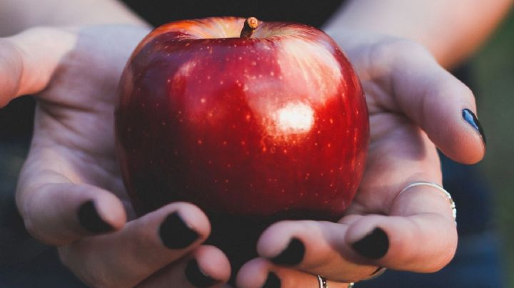 Manzana: El alimento que ayuda a estimular tu memoria y podés cultivar en tu casa