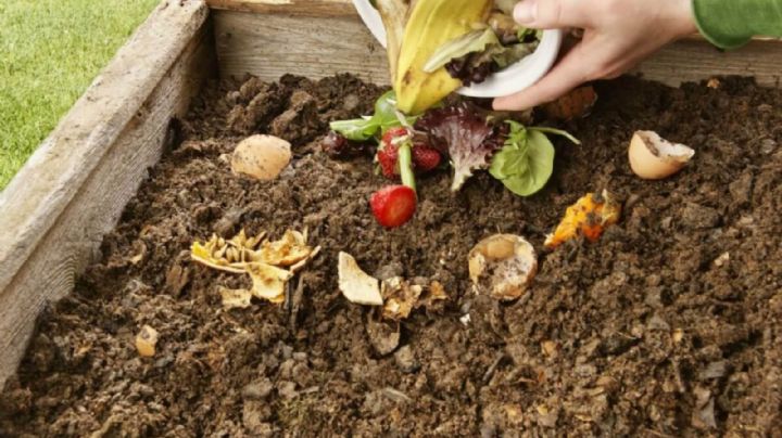 Cómo hacer compost en casa