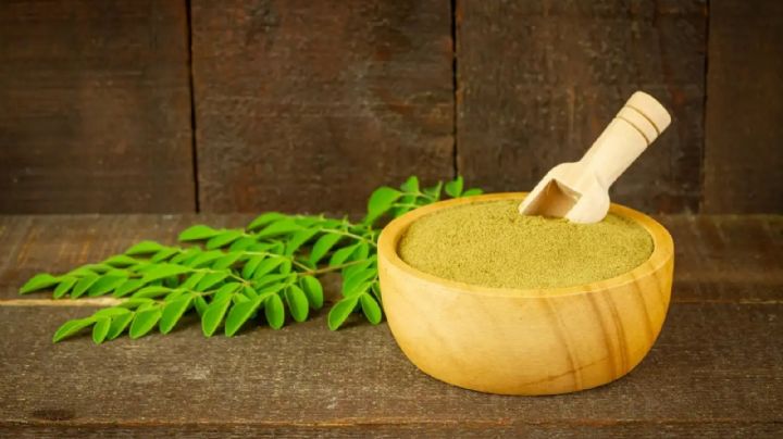 La Moringa: Un árbol muy beneficioso para la salud