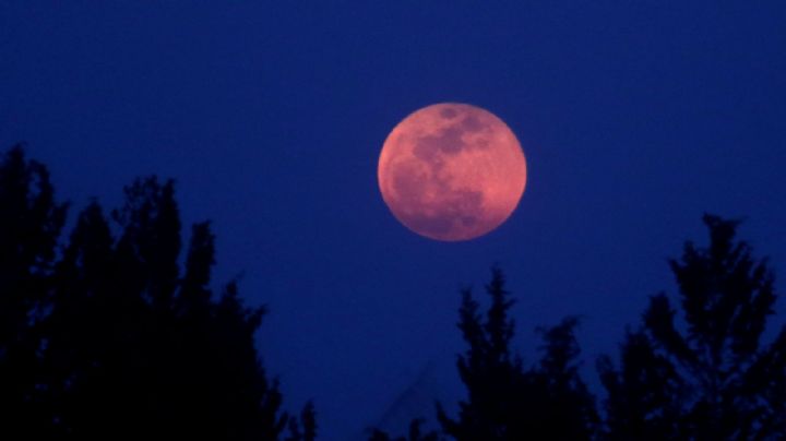 Como afectará el eclipse de luna roja a cada signo