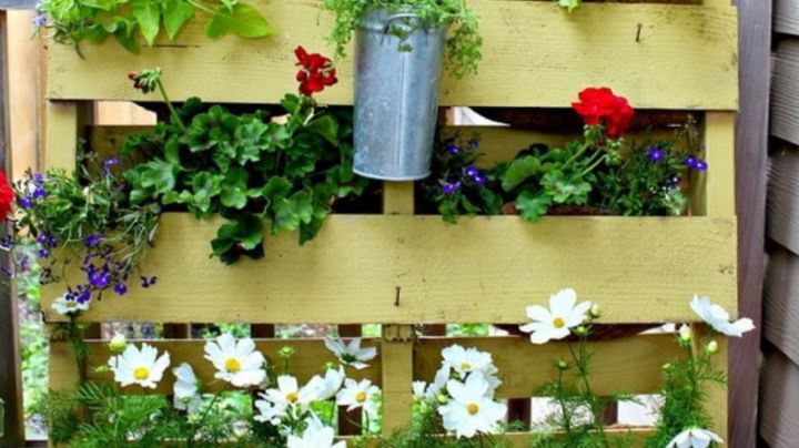 Cómo hacer un jardín vertical para tus plantas
