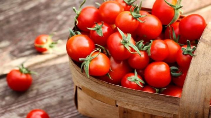 Huerta en casa: tips para cultivar tus propios tomates cherry