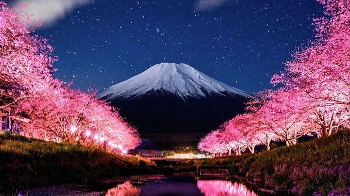 Te mostramos los 6 paisajes más lindos de Japón en primavera