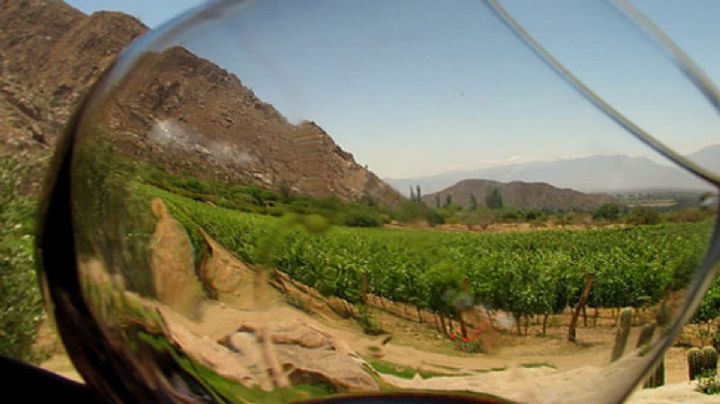 Destinos Turísticos: Recorriendo las rutas de Mendoza, capital mundial del Vino
