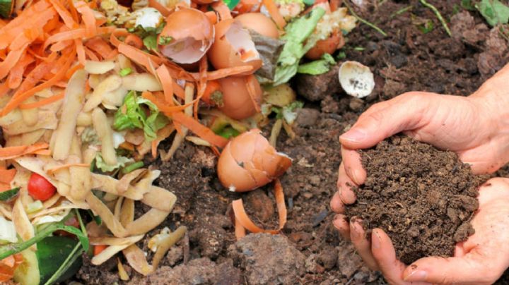 Trucos para preparar compost en casa con desperdicios de comida