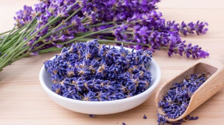 La lavanda se posiciona como el ingrediente original en la gastronomía