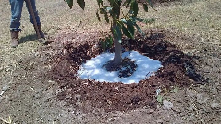 Agua en polvo, la nueva tecnología pensada para combatir las sequias