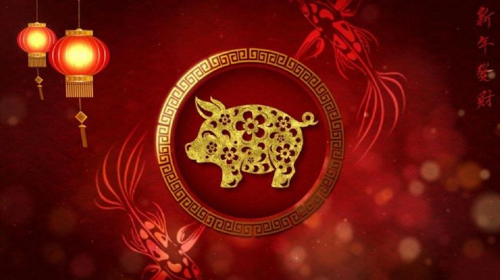 Horóscopo chino, predicciones para el cerdo en el año del conejo