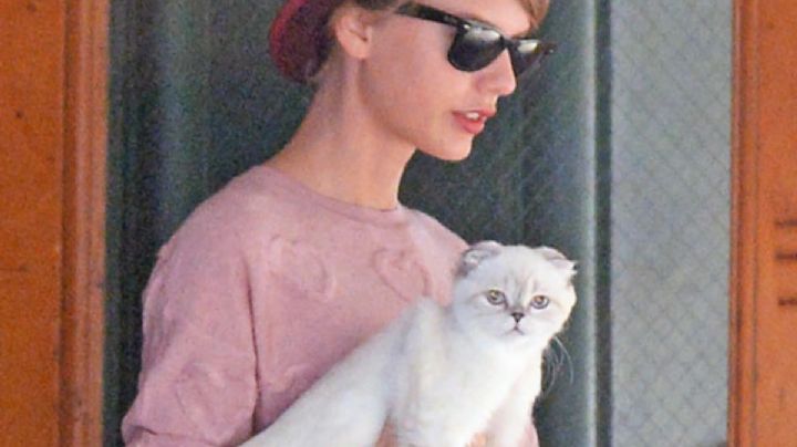 Ella es Olivia Benson la millonaria mascota de Taylor Swift