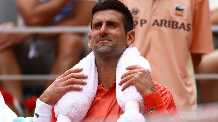 Novak Djokovic: presencia en la final de Rugby y sorpresivo entrenamiento con Carlos Alcaraz