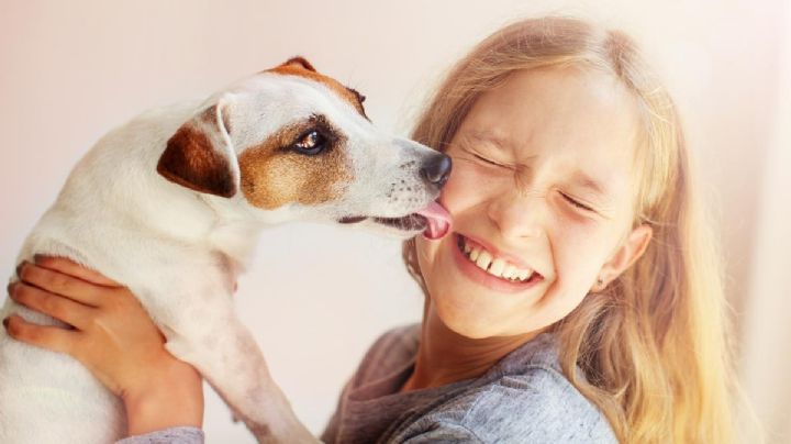 ¿Por qué los perros te lamen? Descubre su significado