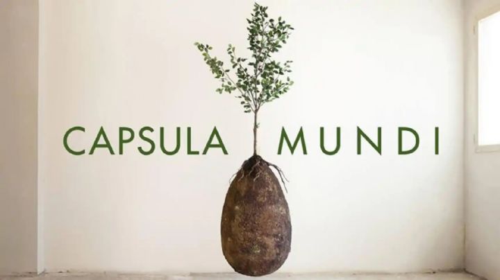 Capsula Mundi, el proyecto que deja en evidencia que la vida siempre sigue en marcha