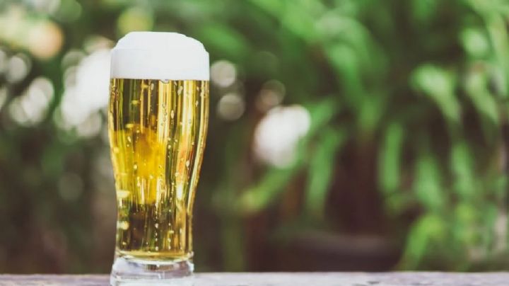 10 usos de la cerveza en el jardín que seguro desconocías