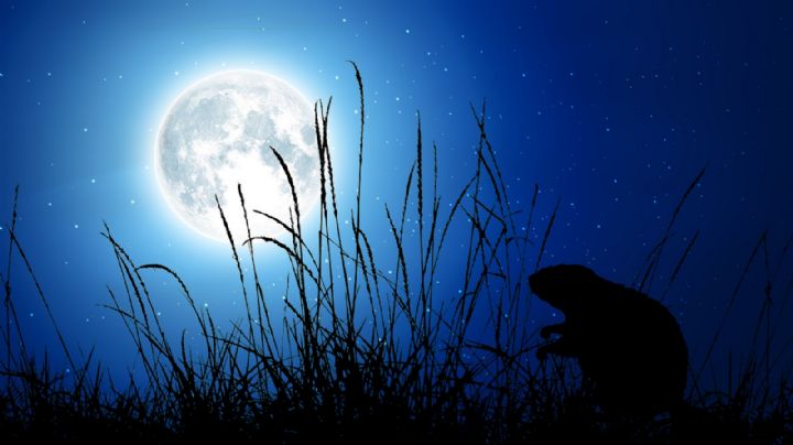 Luna llena del Castor: cómo afectará a los signos según el horóscopo