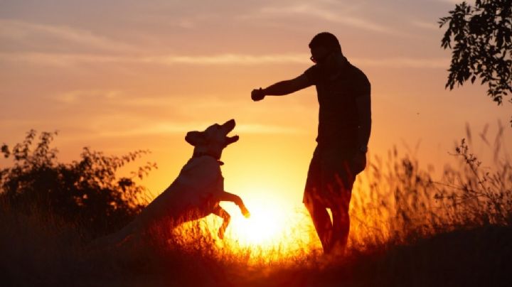 ¿Por qué los perros tienden a parecerse a sus dueños? Esto dice la ciencia