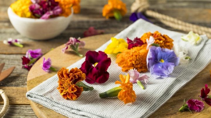 Flores comestibles: 7 variedades deliciosas y hermosas para tu jardín y tu dieta