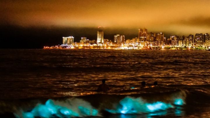 El mar argentino se llenó de luces y deslumbró a los habitantes de Pinamar y Villa Gesell