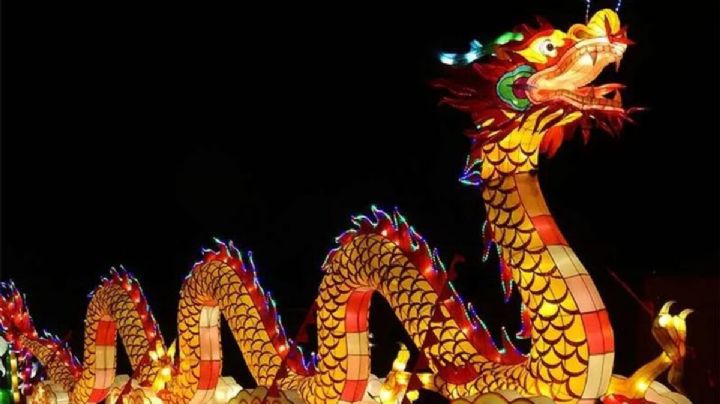 Horóscopo Chino: recomendaciones que te ayudarán a prepararte para el año del dragón de madera 2024