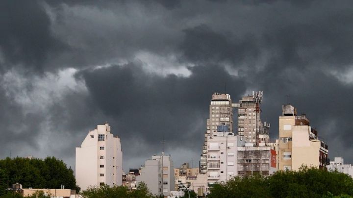 Estos 8 animales pueden predecir las tormentas