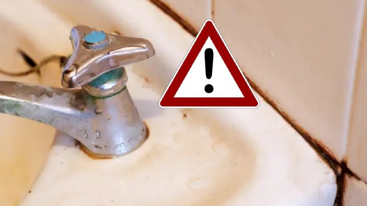 Cómo eliminar y prevenir el moho negro en el baño con productos naturales
