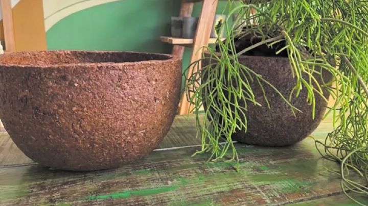 Manualidades: aprende cómo hacer macetas con aserrín de madera