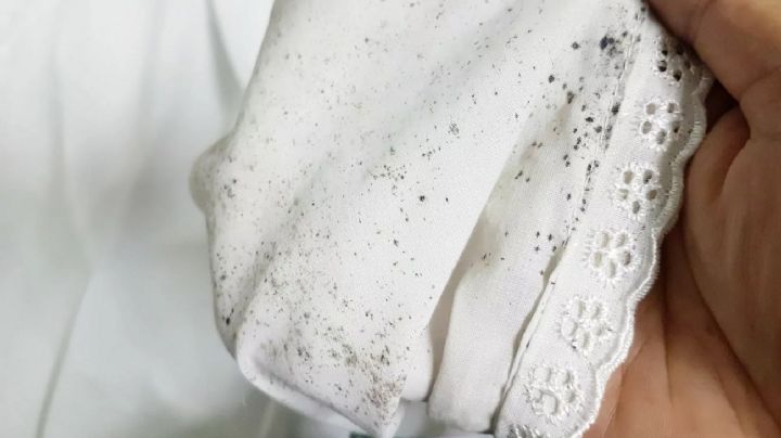 Estos simples trucos de limpieza te ayudarán a dejar tus prendas libres de manchas de humedad