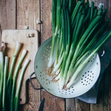 Técnica de jardinería: como obtener cebolla de verdeo sin comprar semillas