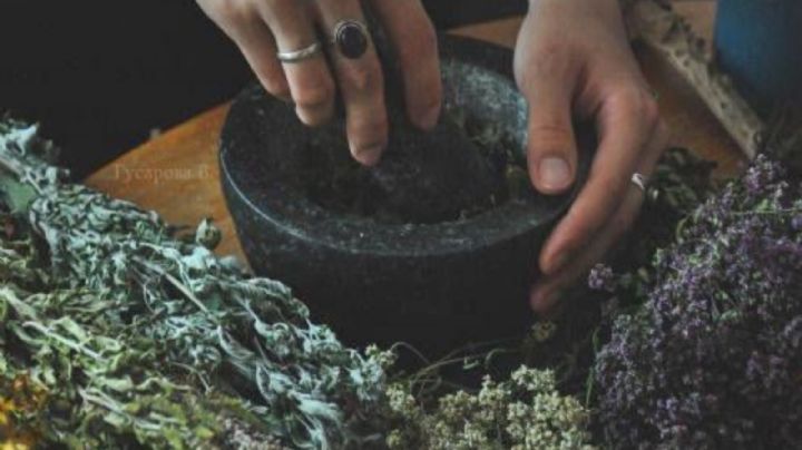 Remedios Caseros: descubre cómo aliviar dolencias con hierbas medicinales
