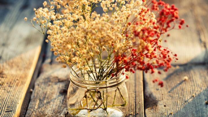 Feng Shui: los motivos por los que debes evitar decorar tu hogar con flores secas